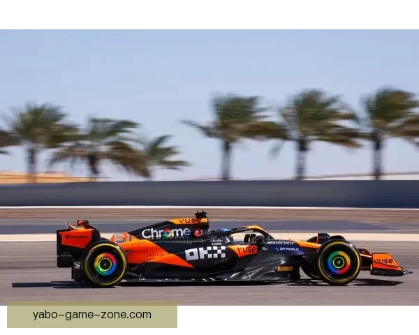 F1赛场焦点德弗里斯赛季表现与未来潜力全面解析